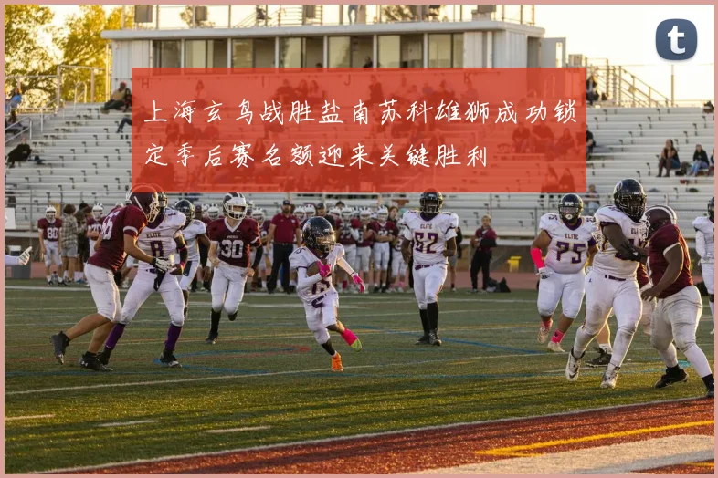 上海玄鸟战胜盐南苏科雄狮成功锁定季后赛名额迎来关键胜利